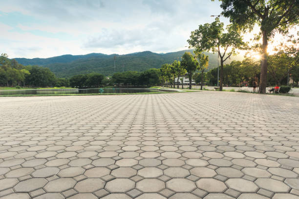 Best Custom Driveway Pavers  in Johnstonville, CA