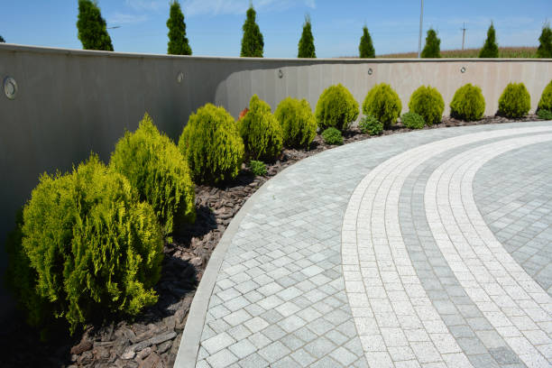 Best Decorative Driveway Pavers  in Johnstonville, CA